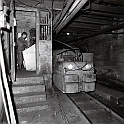 souvenirs en noir et blanc (515)